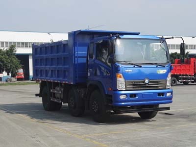 CDW3220A1C4自卸汽车燃油公告图片2