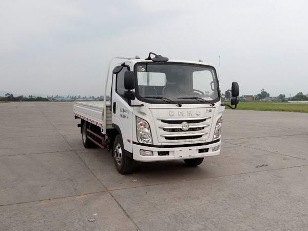 CNJ1041ZDB33V载货汽车燃油公告图片2