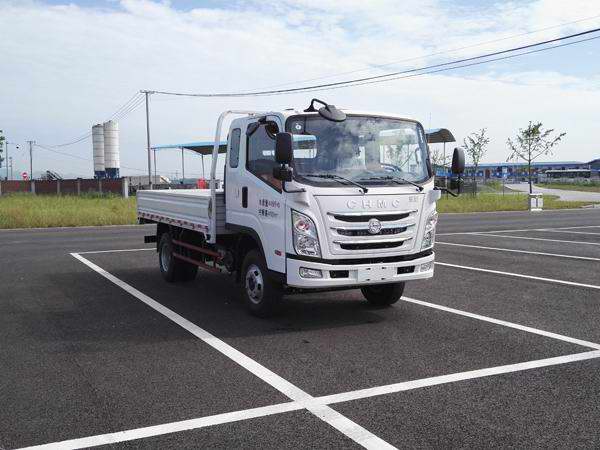 CNJ1041ZDB33V载货汽车燃油公告图片2