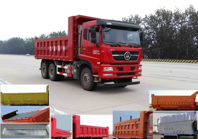 ZZ3253N4141E1N自卸汽车燃油公告图片2