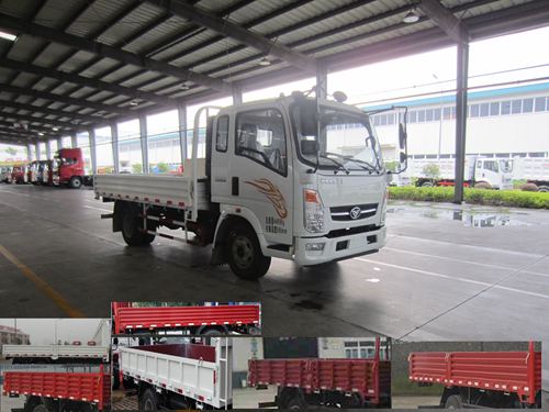 ZZ1048D17EB1载货汽车燃油公告图片2