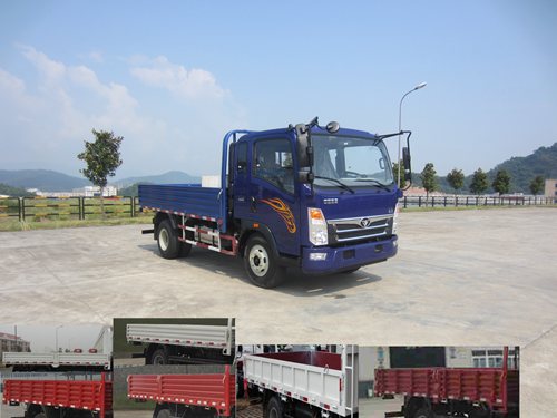 ZZ1048D17EB1载货汽车燃油公告图片2