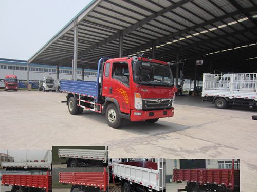 ZZ1048D17EB0载货汽车燃油公告图片2