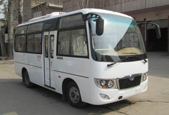 LS6603C5客车燃油公告图片2