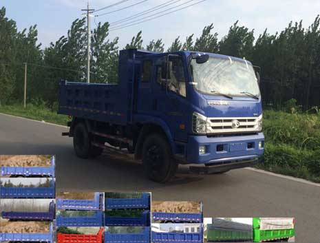 BJ3163DJPFA-FA自卸汽车燃油公告图片2
