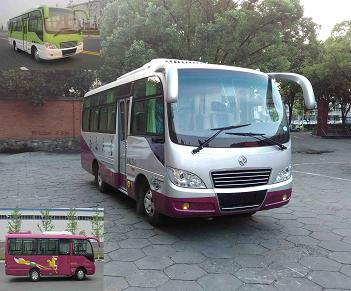 EQ6660LTV客车燃油公告图片2