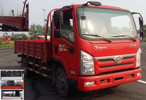 STQ1042L02Y1N5载货汽车燃油公告图片2