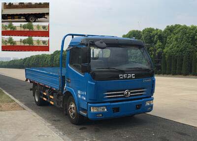 EQ1070S8BDB载货汽车燃油公告图片2