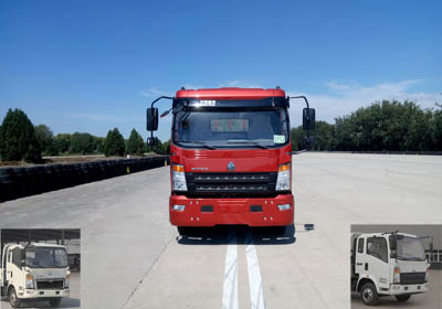 ZZ1107G421CE1载货汽车燃油公告图片1