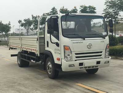 CGC1100HDE44E载货汽车燃油公告图片2