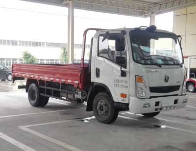 CGC1046HDE33E载货汽车燃油公告图片2