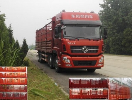 DFH5310CCYAX1A仓栅式运输车燃油公告图片2