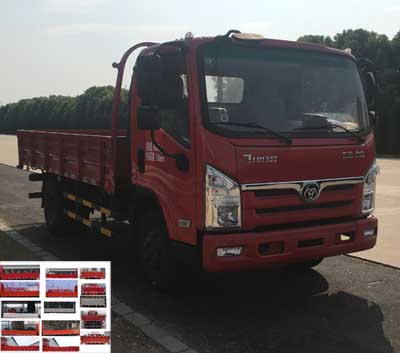 STQ1043L02Y1N5载货汽车燃油公告图片2