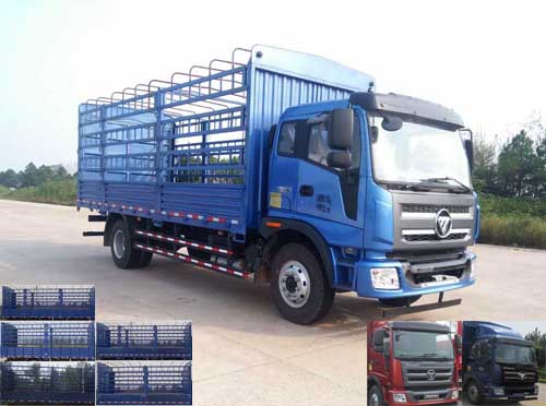 BJ5165CCY-FC仓栅式运输车燃油公告图片2