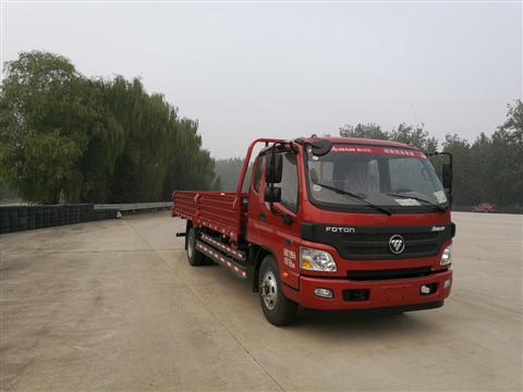 BJ1129VGJED-A1载货汽车燃油公告图片2