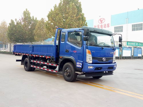 SSF1091HHP77载货汽车燃油公告图片2
