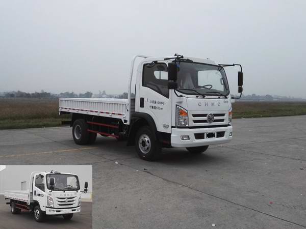 CNJ1040ZD33M载货汽车燃油公告图片2