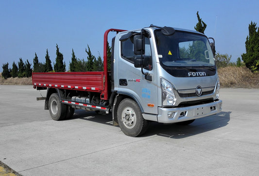 BJ1048V8JDA-FA载货汽车燃油公告图片2