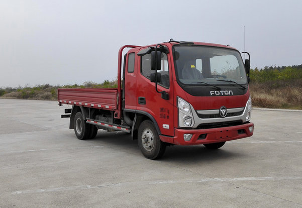 BJ1048V8JDA-FA载货汽车燃油公告图片2