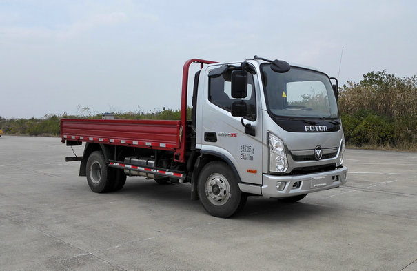 BJ1078VEJDA-FE载货汽车燃油公告图片2