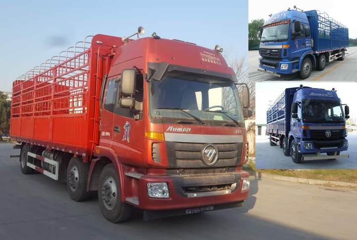 BJ5252CCY-AA仓栅式运输车燃油公告图片2