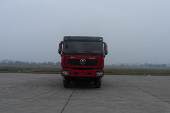 SX33106C3062自卸汽车燃油公告图片1