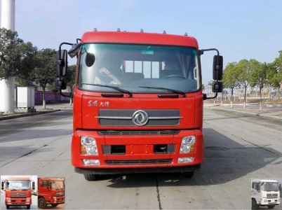DFH1180BX1DV载货汽车燃油公告图片1