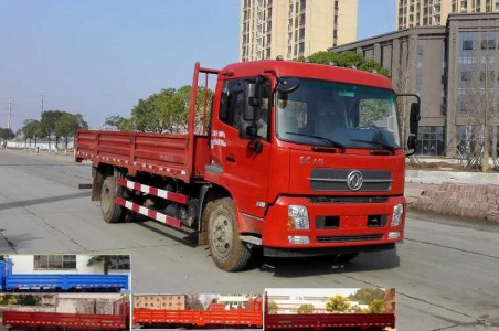 DFH1180BX1DV载货汽车燃油公告图片2
