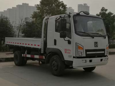 LH1040载货汽车燃油公告图片2