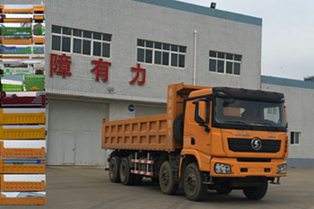 SX33106C3062自卸汽车燃油公告图片2