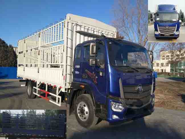 BJ5166CCY-A3仓栅式运输车燃油公告图片2