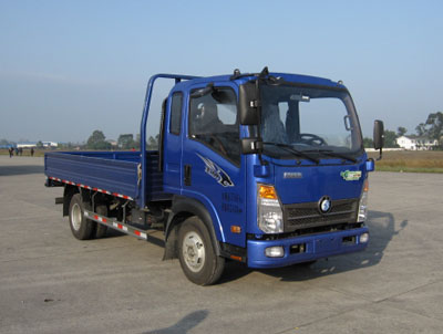 CDW1042HA1P5载货汽车燃油公告图片2