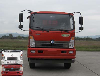 CDW3111A1R5自卸汽车燃油公告图片1