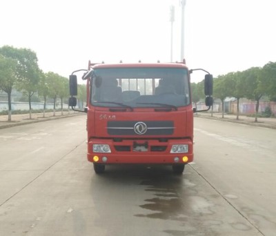 DFH1120BXV载货汽车燃油公告图片1