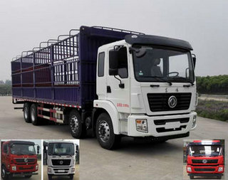 DLQ5310CCY5仓栅式运输车燃油公告图片2