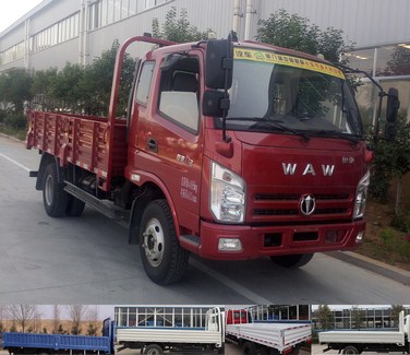 FD1041W17K5-4载货汽车燃油公告图片2