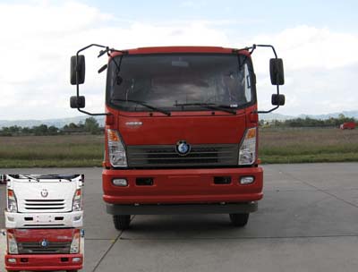 CDW3110A1R5自卸汽车燃油公告图片1