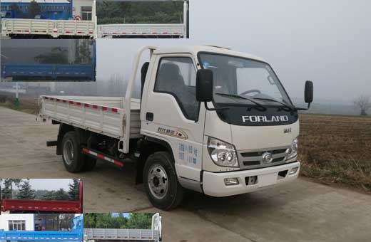 BJ3046D9JBA-FD自卸汽车燃油公告图片2