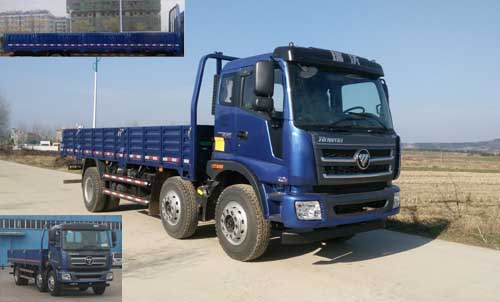 BJ1255VNPHE-FA载货汽车燃油公告图片2