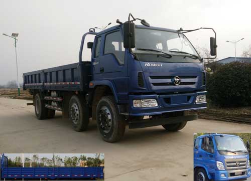 BJ1175VKPEB-FA载货汽车燃油公告图片2