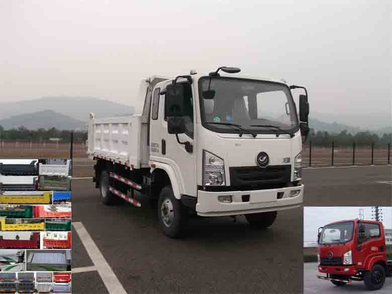 DNC3040G-50自卸汽车燃油公告图片2