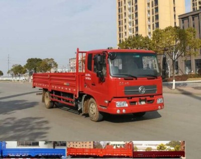 DFH1120BXV载货汽车燃油公告图片2