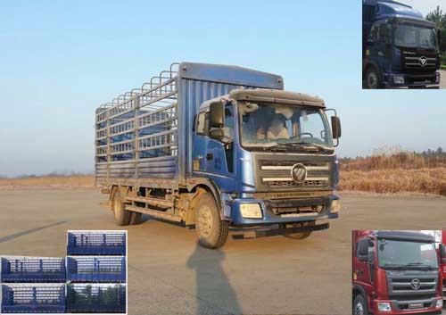 BJ5165CCY-FA仓栅式运输车燃油公告图片2