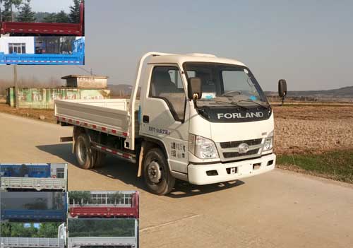 BJ3042D9JB3-FA自卸汽车燃油公告图片2