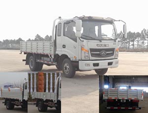 ZB1090UPD6V载货汽车燃油公告图片2