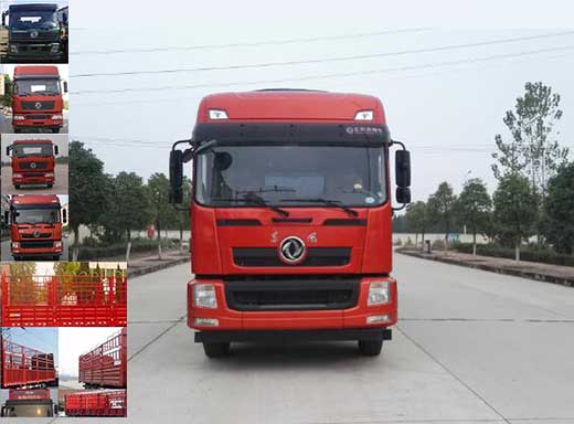 EQ5250CCYGZ5D仓栅式运输车燃油公告图片1