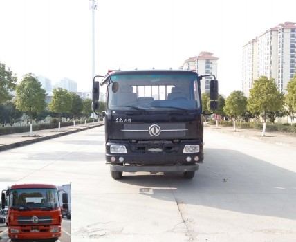 DFH1180BX1JV载货汽车燃油公告图片1