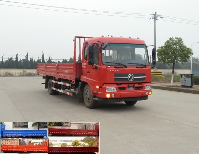 DFH1180BX1JV载货汽车燃油公告图片2