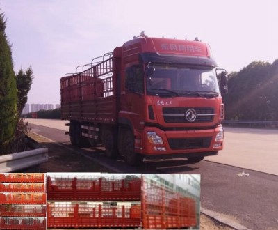 DFH5310CCYAX1A仓栅式运输车燃油公告图片2