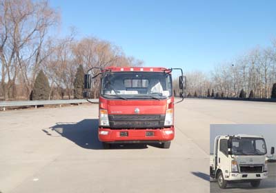 ZZ1047F341CE145载货汽车燃油公告图片1